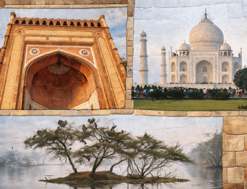 From Marble to Migratory Wings: A Journey Through Agra and Bharatpur